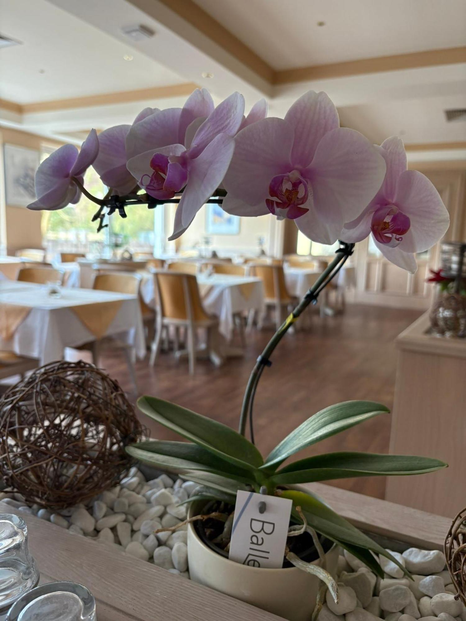 Hotel Kieferneck Bad Bevensen Zewnętrze zdjęcie